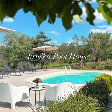 Sremska Kamenica Fruska Pool House 빌라 외부 사진