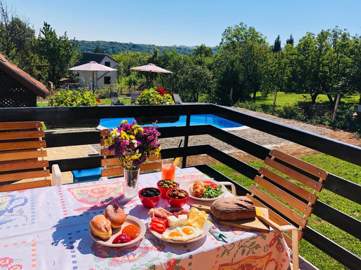 Sremska Kamenica Fruska Pool House 빌라 외부 사진