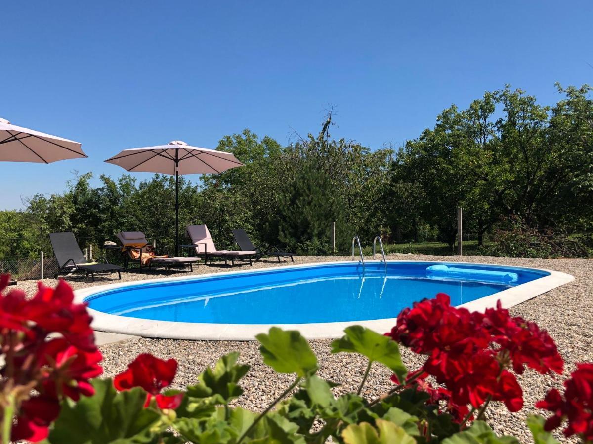 Sremska Kamenica Fruska Pool House 빌라 외부 사진