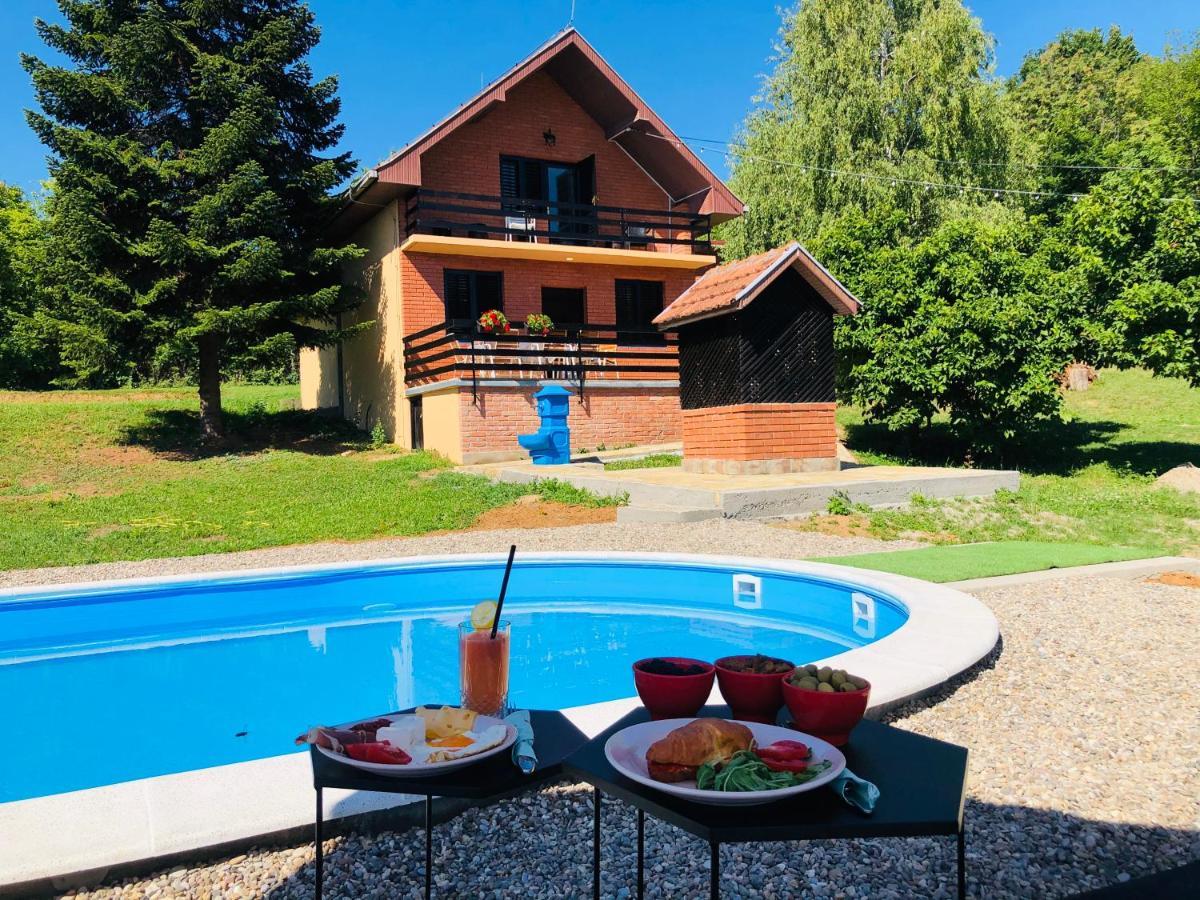 Sremska Kamenica Fruska Pool House 빌라 외부 사진