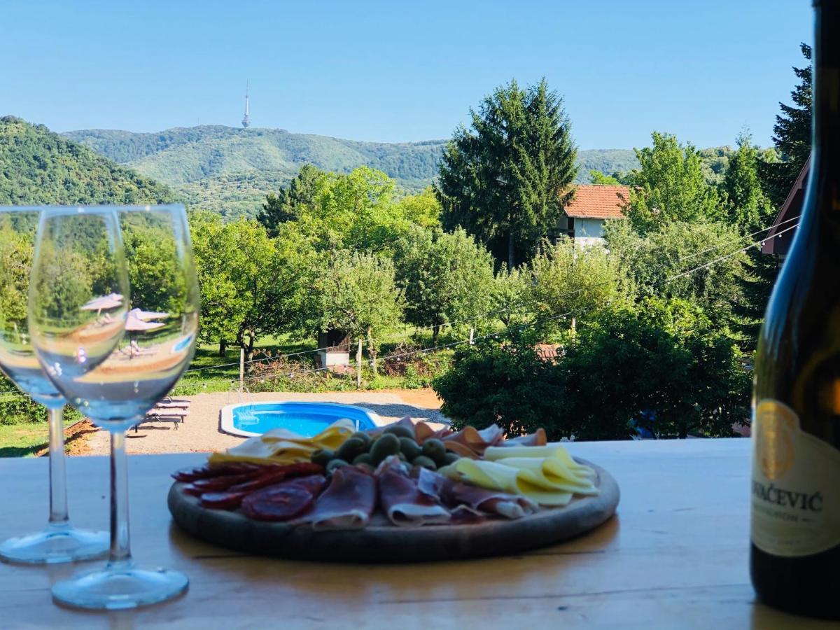 Sremska Kamenica Fruska Pool House 빌라 외부 사진