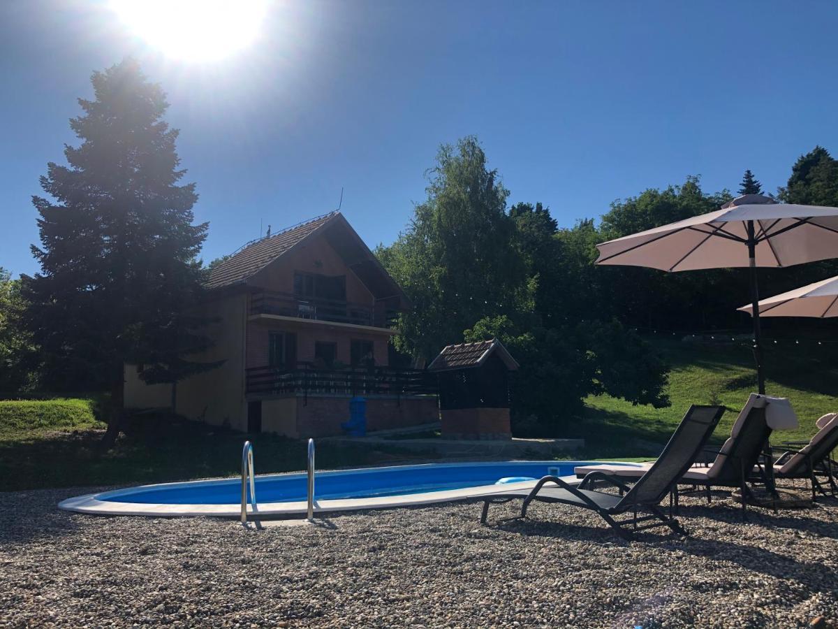Sremska Kamenica Fruska Pool House 빌라 외부 사진