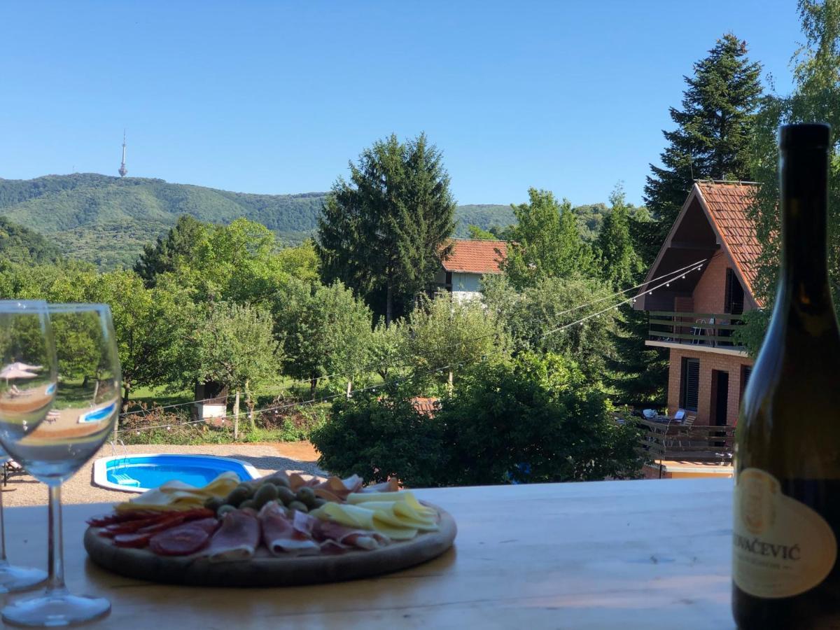 Sremska Kamenica Fruska Pool House 빌라 외부 사진