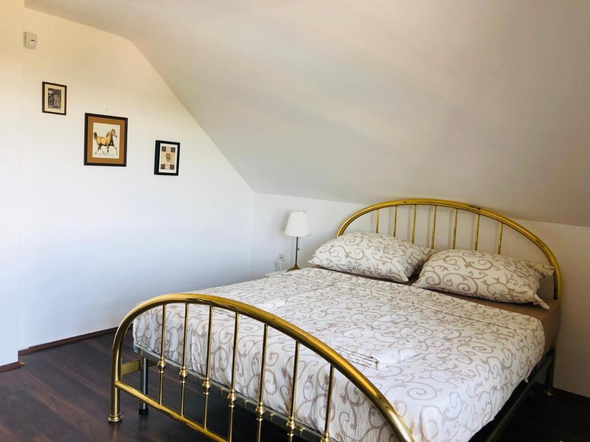 Sremska Kamenica Fruska Pool House 빌라 외부 사진