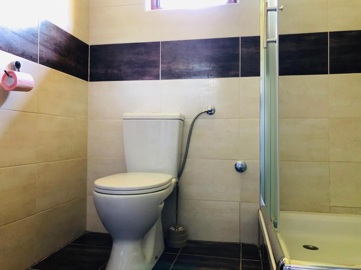 Sremska Kamenica Fruska Pool House 빌라 외부 사진