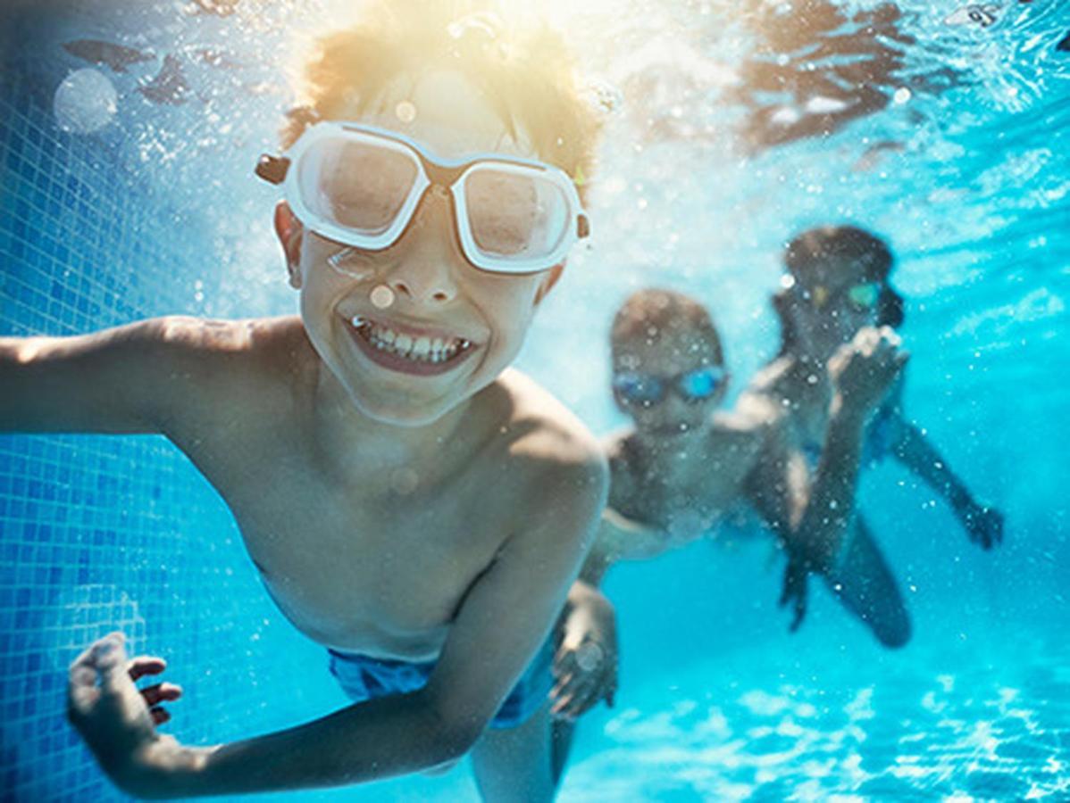 Sremska Kamenica Fruska Pool House 빌라 외부 사진