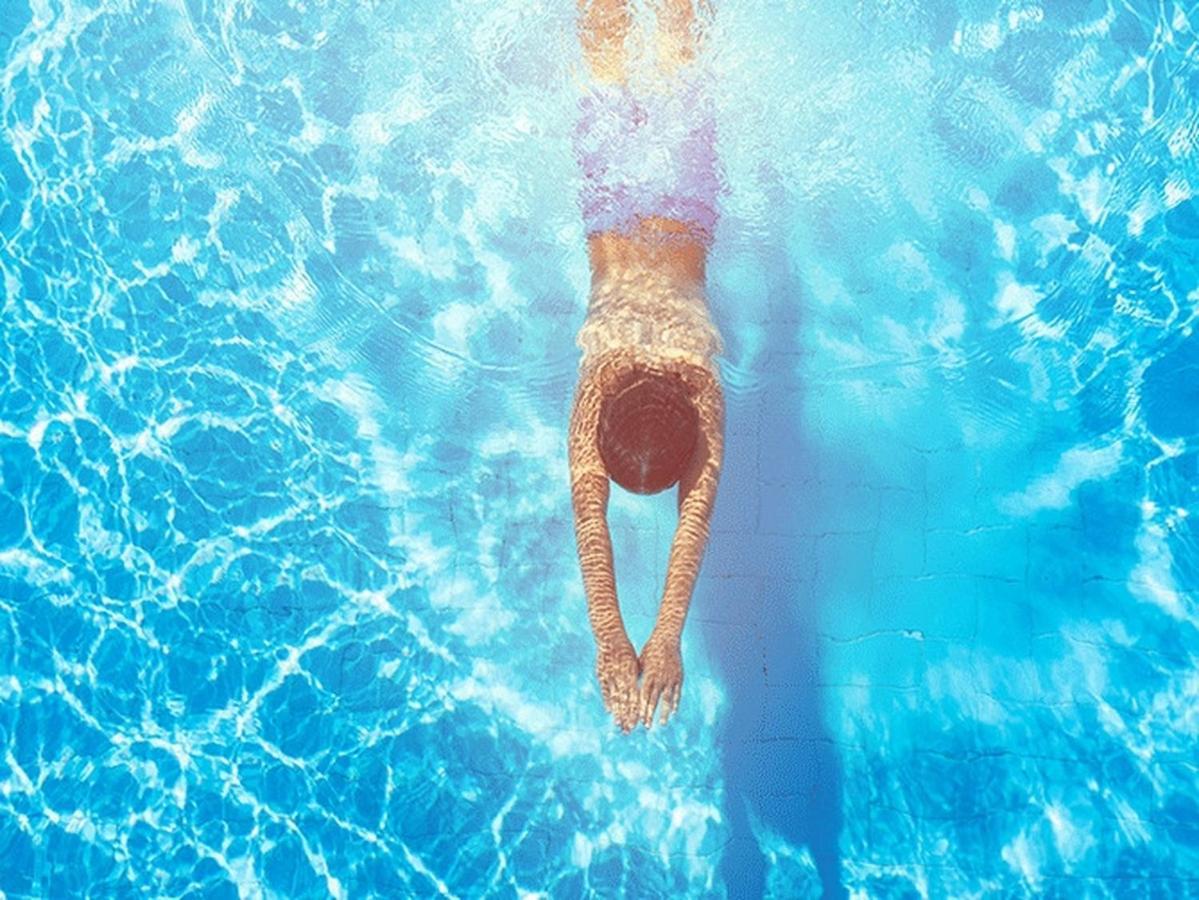 Sremska Kamenica Fruska Pool House 빌라 외부 사진