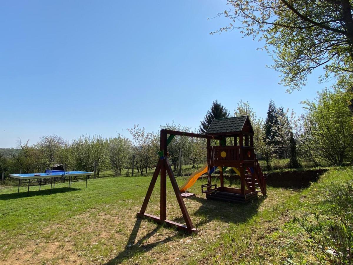 Sremska Kamenica Fruska Pool House 빌라 외부 사진