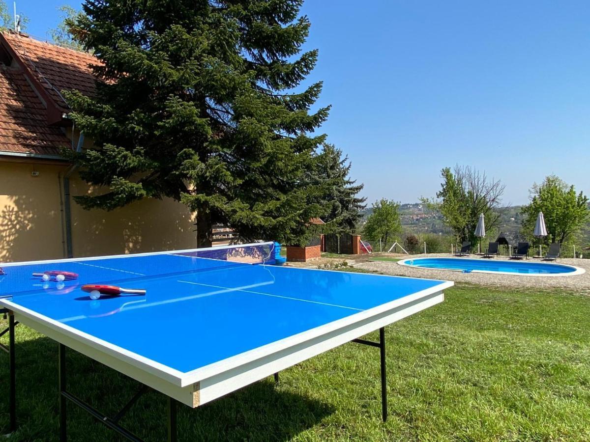 Sremska Kamenica Fruska Pool House 빌라 외부 사진
