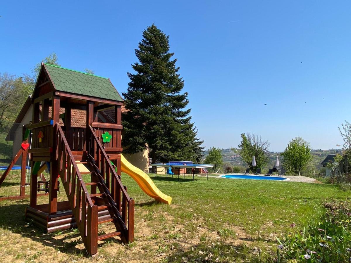 Sremska Kamenica Fruska Pool House 빌라 외부 사진