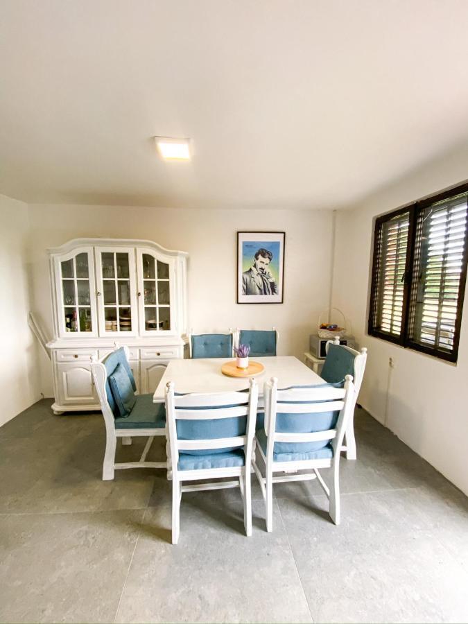 Sremska Kamenica Fruska Pool House 빌라 외부 사진
