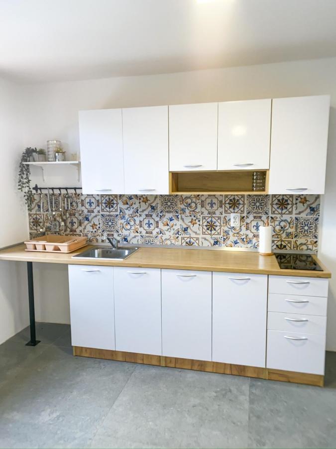 Sremska Kamenica Fruska Pool House 빌라 외부 사진