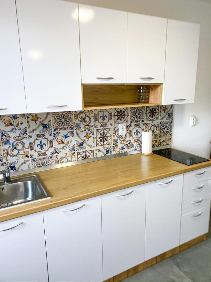 Sremska Kamenica Fruska Pool House 빌라 외부 사진