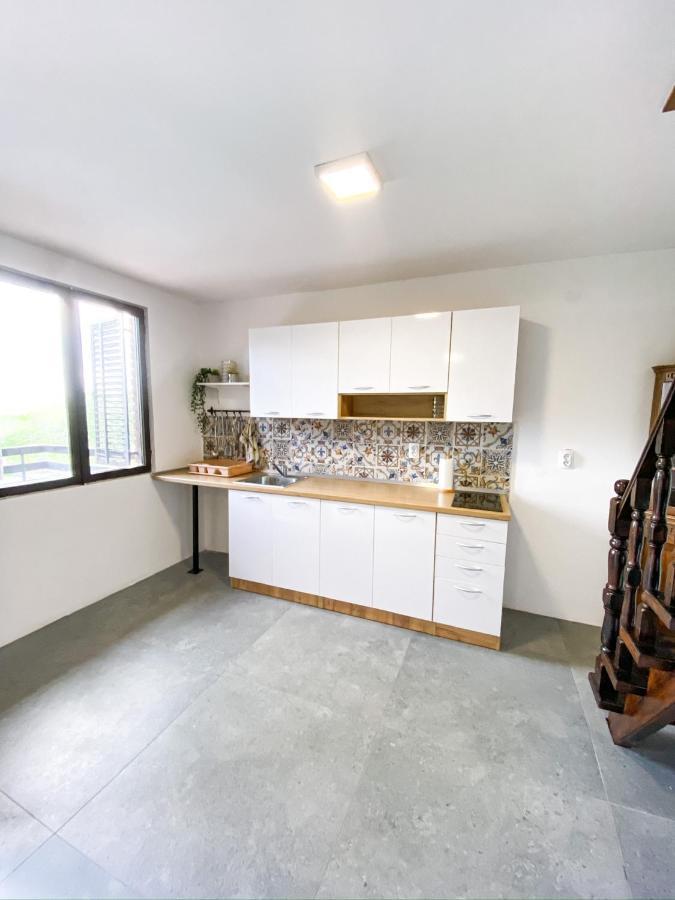 Sremska Kamenica Fruska Pool House 빌라 외부 사진
