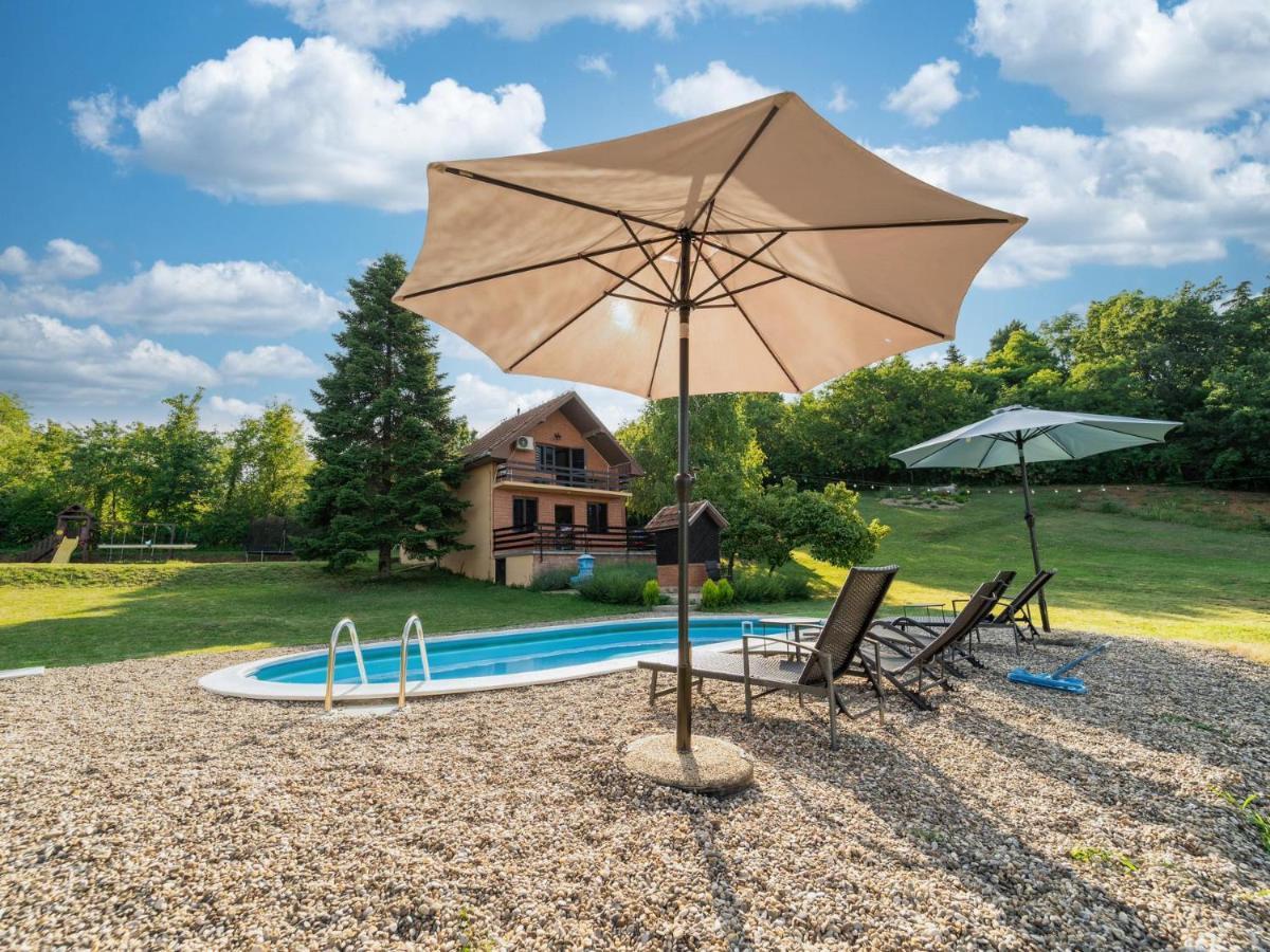 Sremska Kamenica Fruska Pool House 빌라 외부 사진