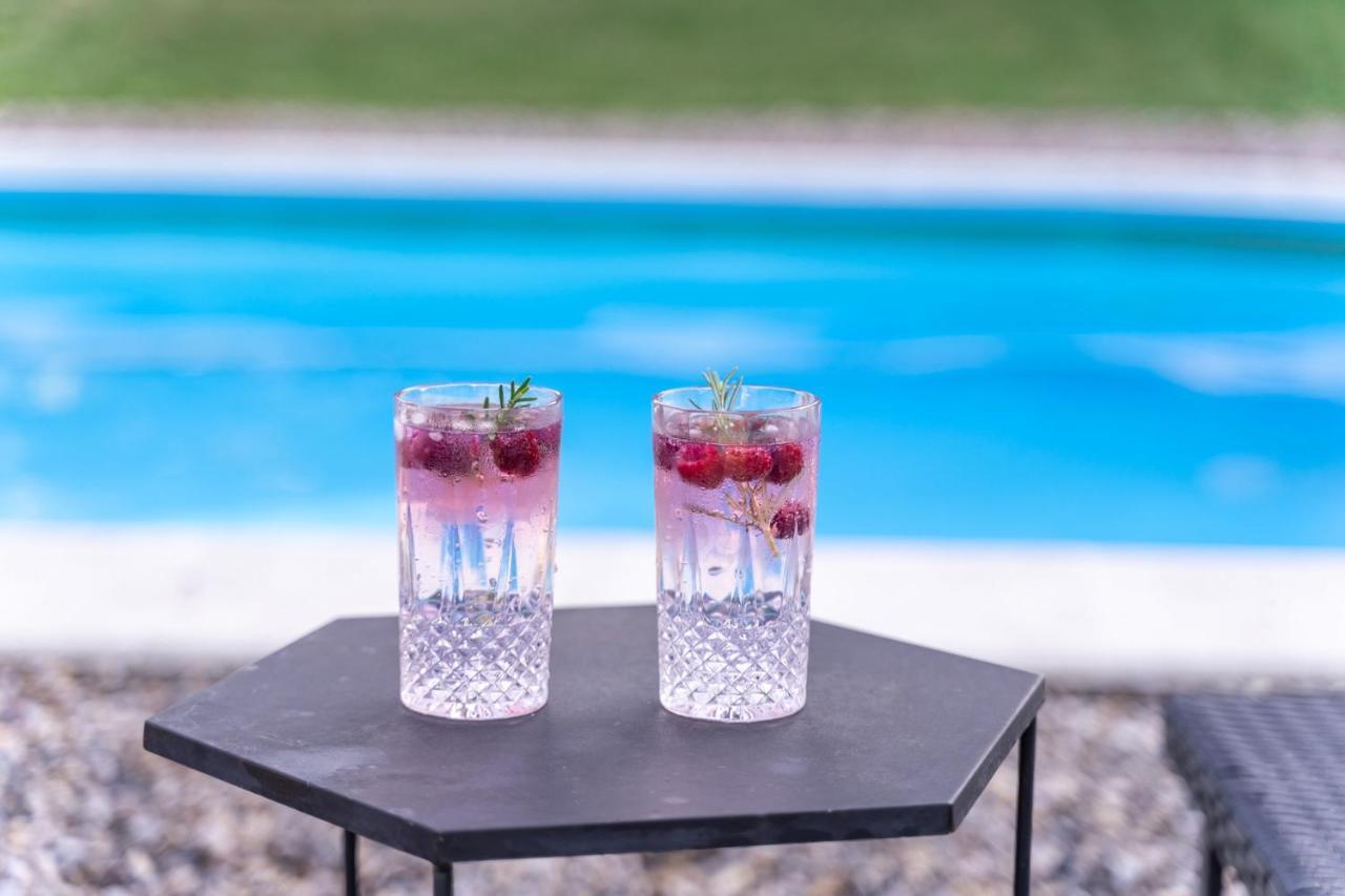 Sremska Kamenica Fruska Pool House 빌라 외부 사진