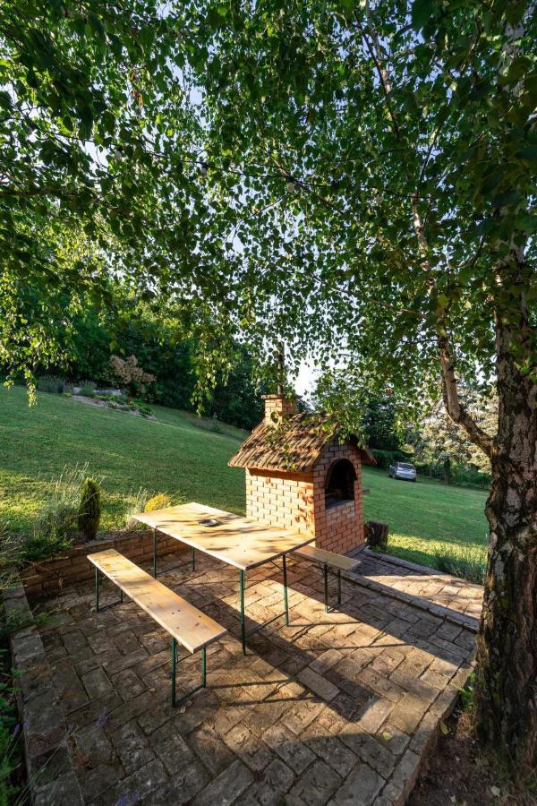 Sremska Kamenica Fruska Pool House 빌라 외부 사진