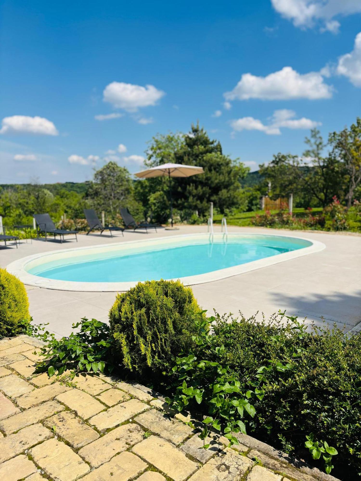 Sremska Kamenica Fruska Pool House 빌라 외부 사진
