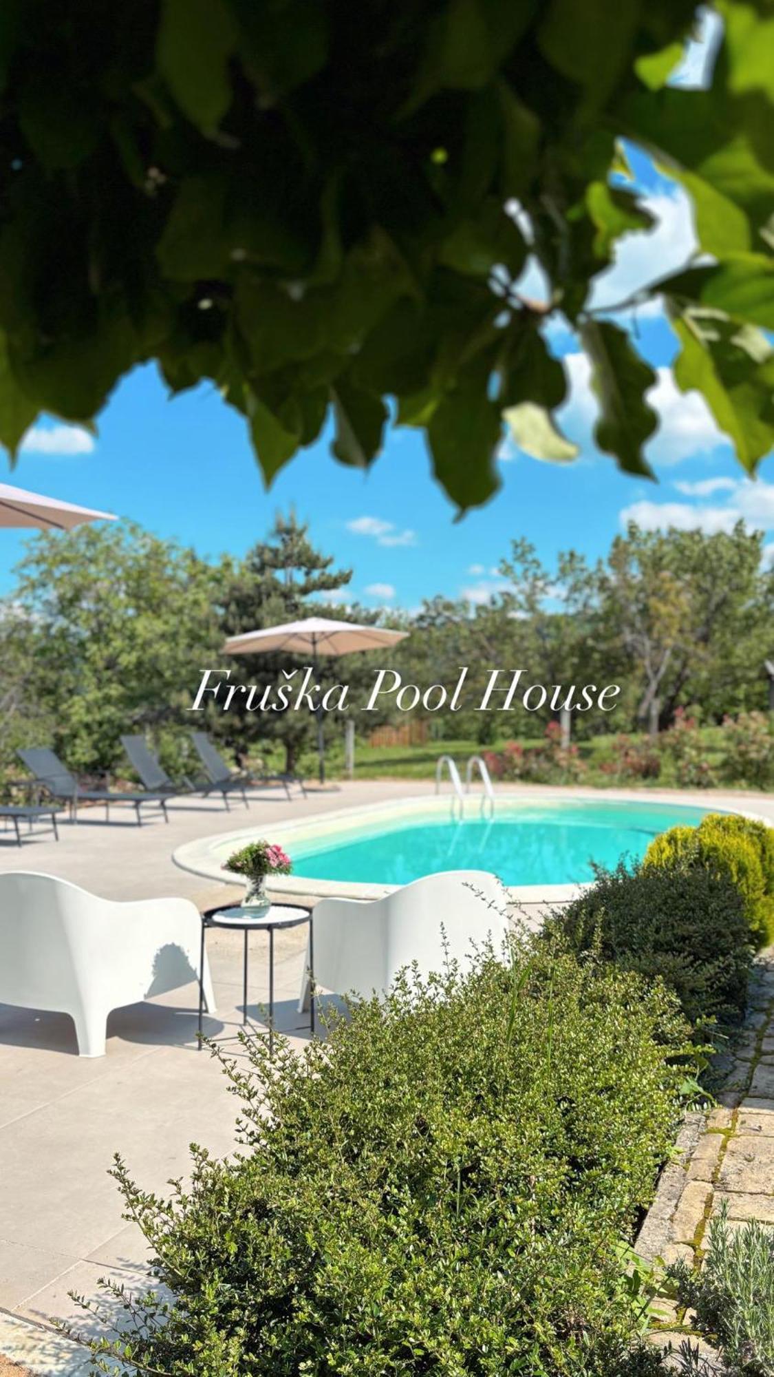 Sremska Kamenica Fruska Pool House 빌라 외부 사진