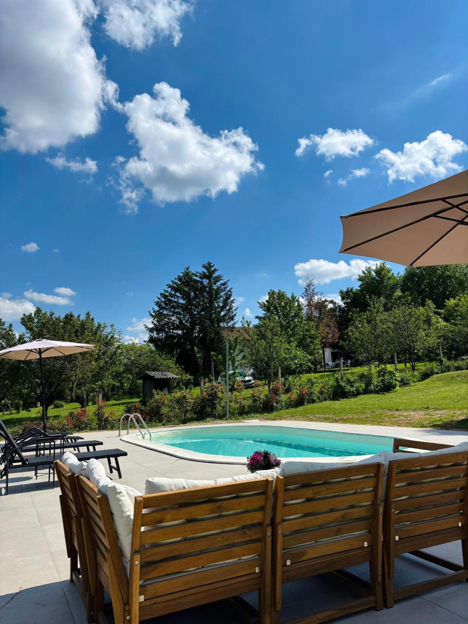 Sremska Kamenica Fruska Pool House 빌라 외부 사진