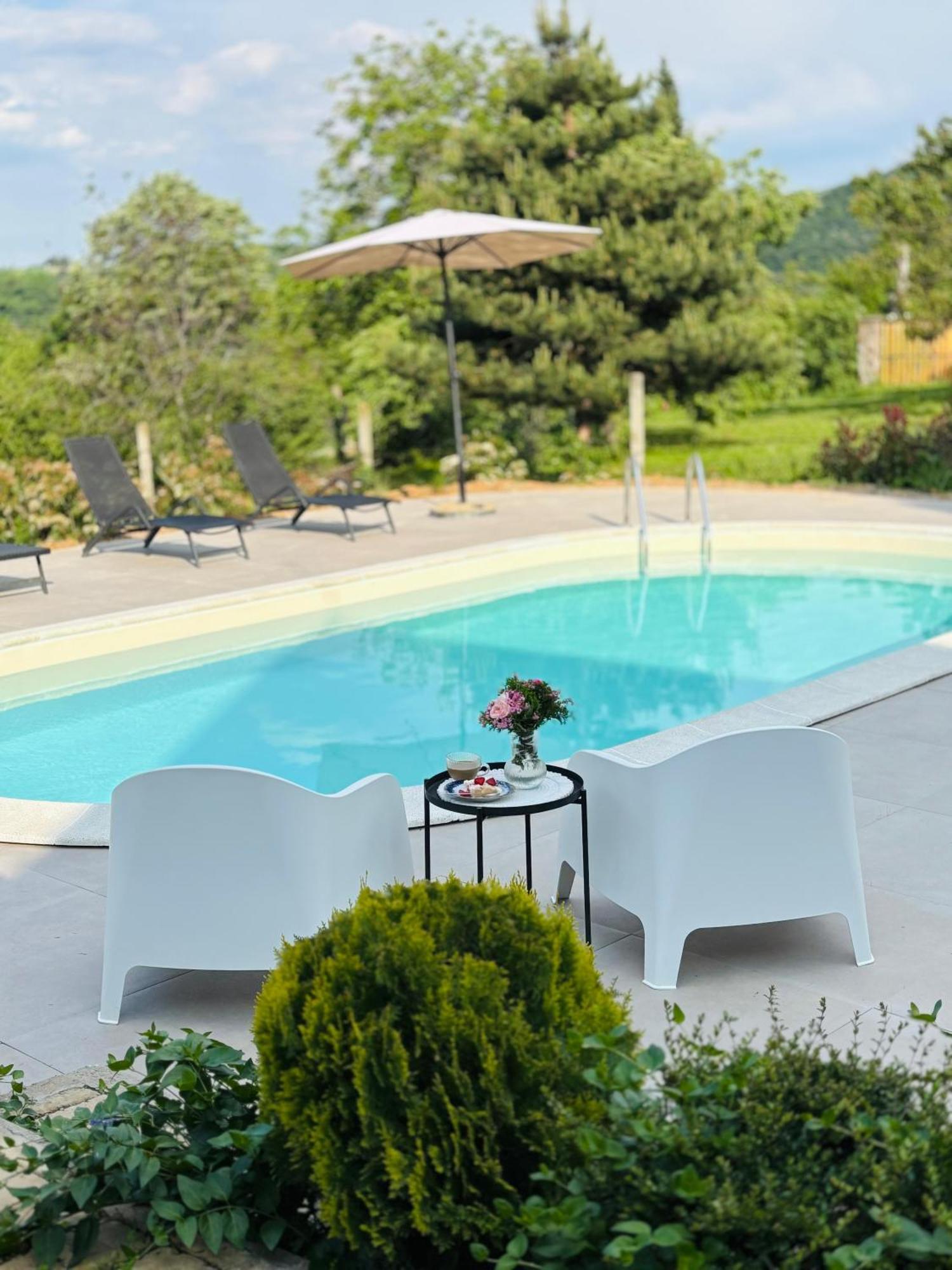 Sremska Kamenica Fruska Pool House 빌라 외부 사진