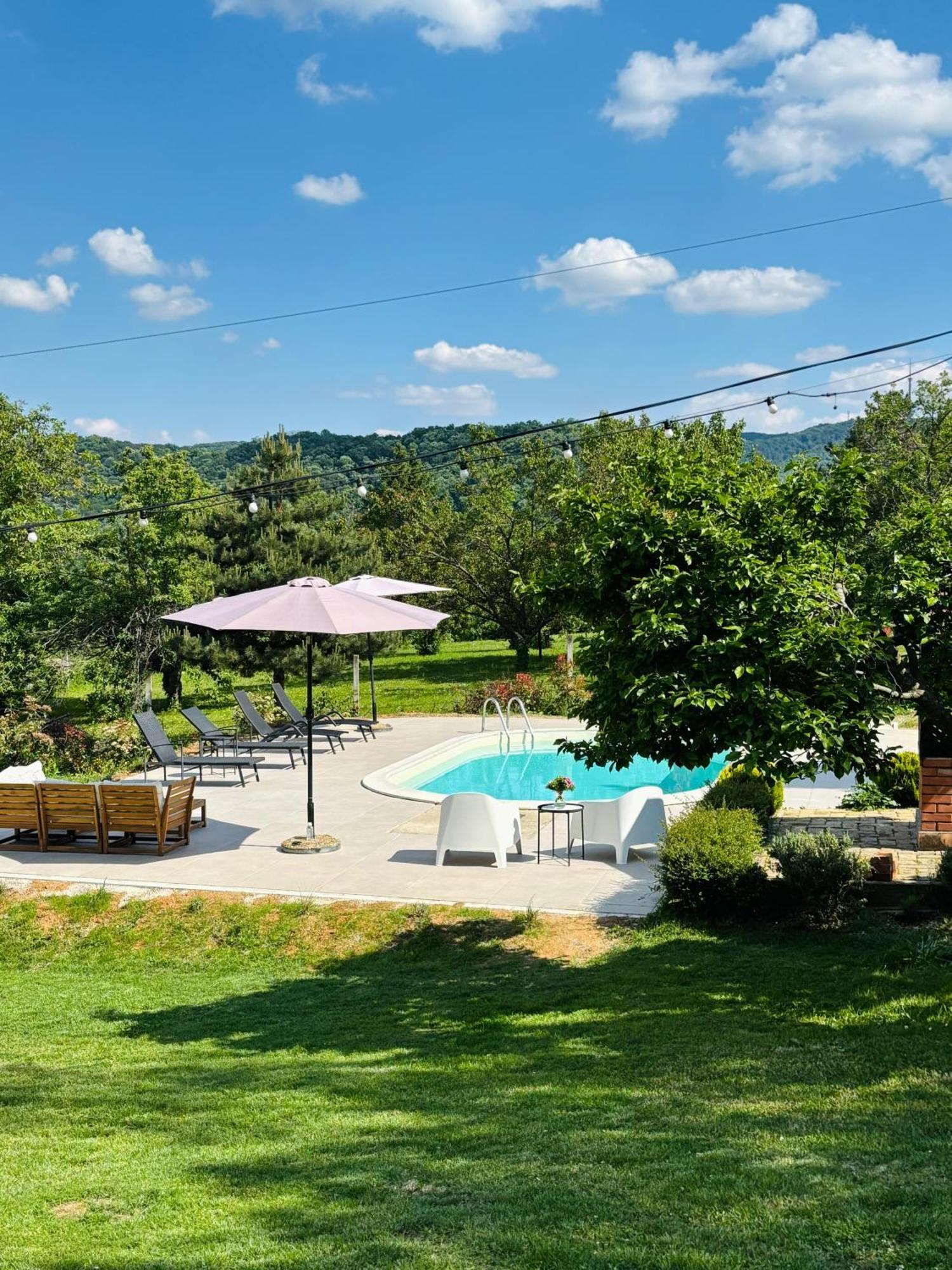 Sremska Kamenica Fruska Pool House 빌라 외부 사진