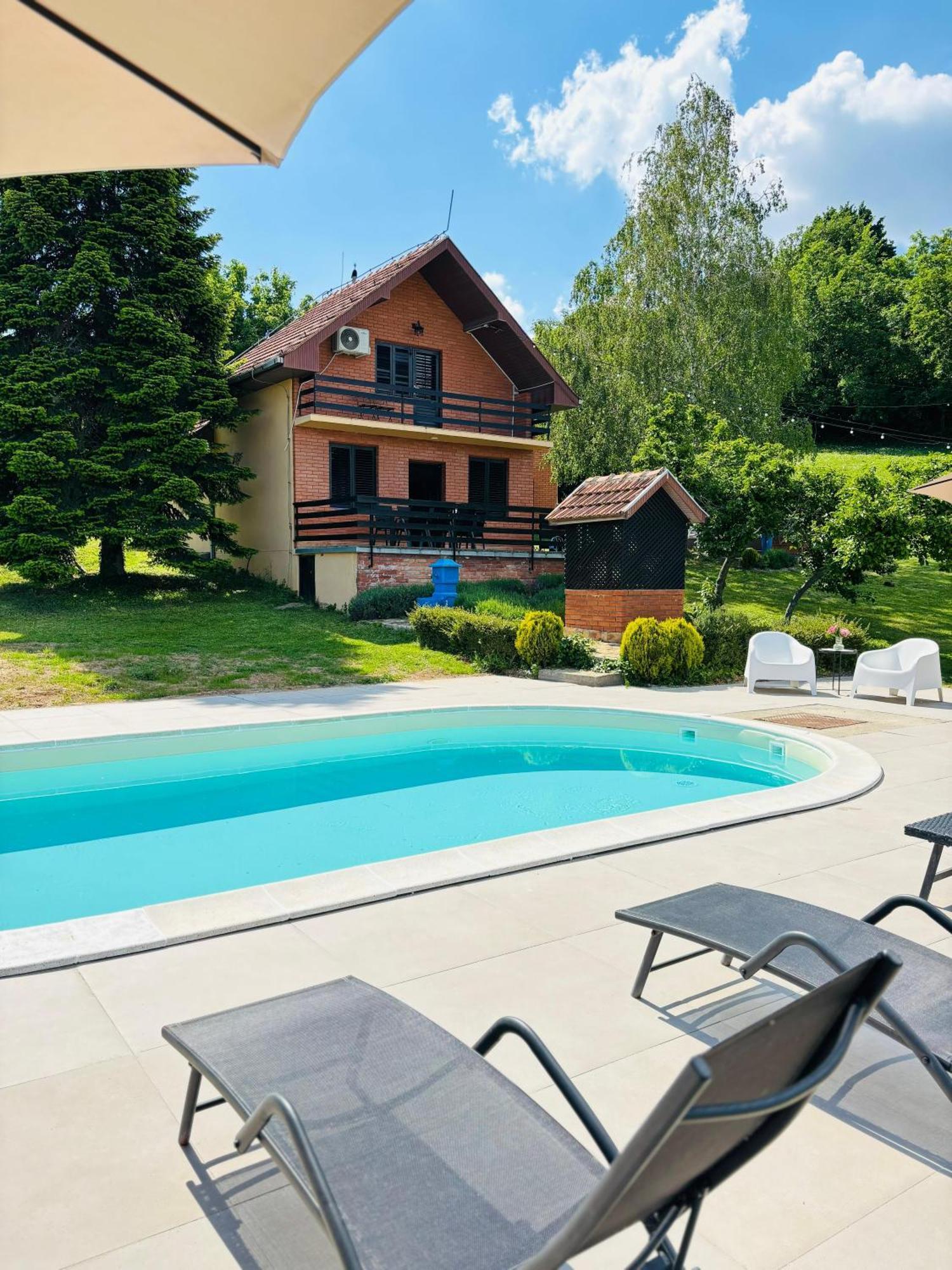 Sremska Kamenica Fruska Pool House 빌라 외부 사진